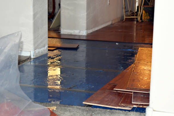 Professional Burst Pipe Cleanup technician working in Langeloth, PA